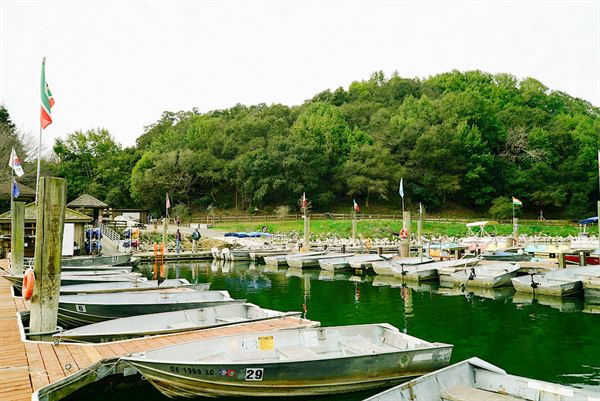 Lake Chabot Marina