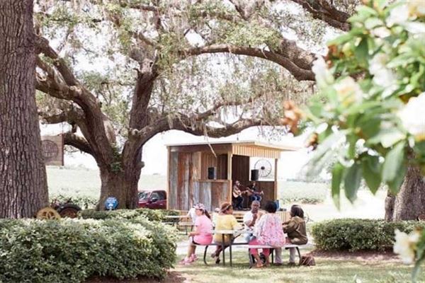 Amber Brooke Farms Eustis