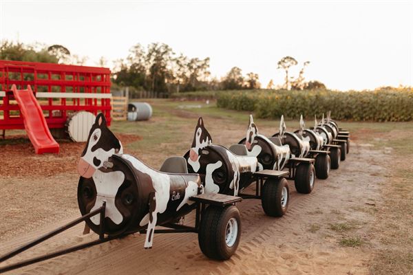 Amber Brooke Farms Eustis