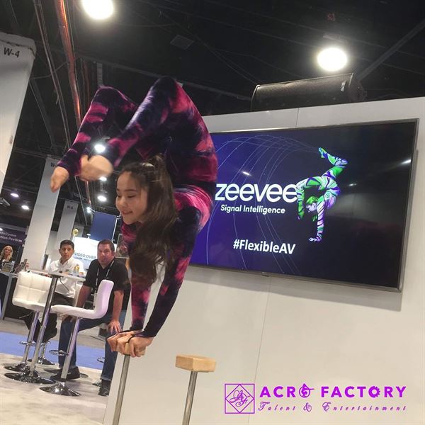 Acro Factory Entertainment