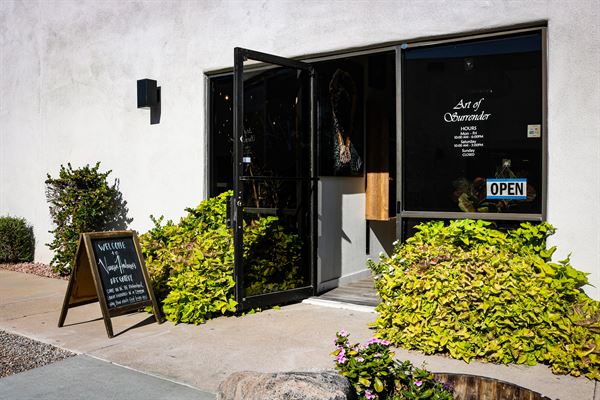 The Art of Surrender LLC