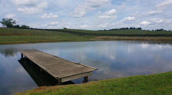 Celebrations at Mystic Hill Farms