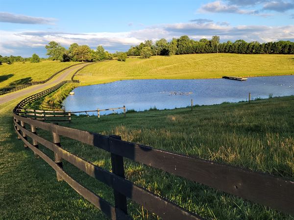 Celebrations at Mystic Hill Farms