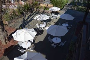 Oasis Outdoor Garden and Lounge