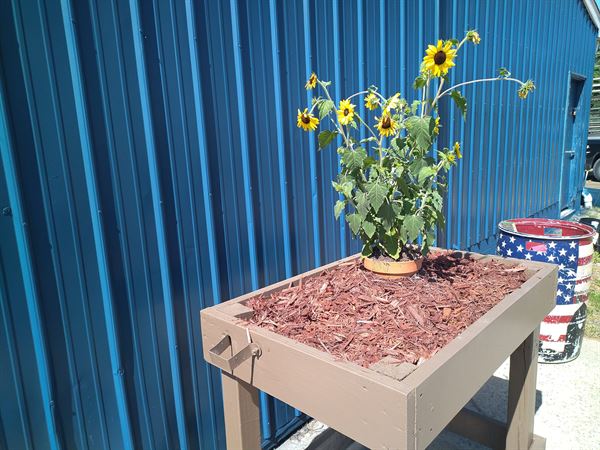 Washtenaw Farm Council