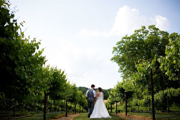 A Place in the Vineyard