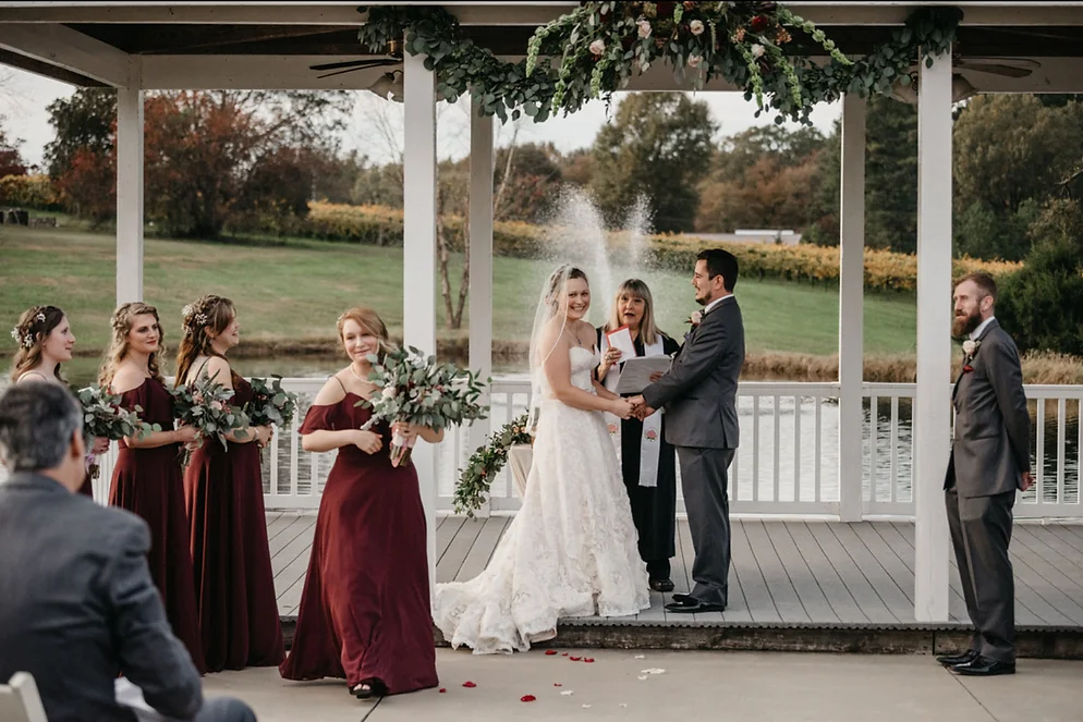 A Place in the Vineyard