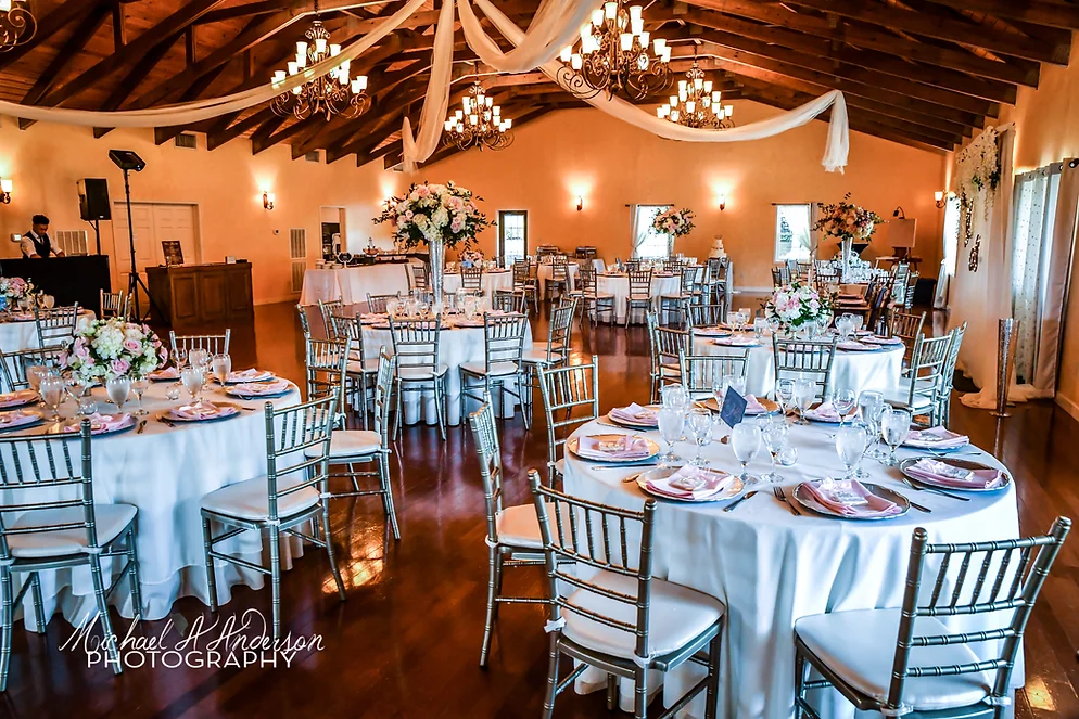 A Place in the Vineyard