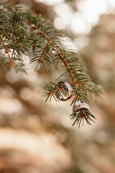 Michelle Betz Photography