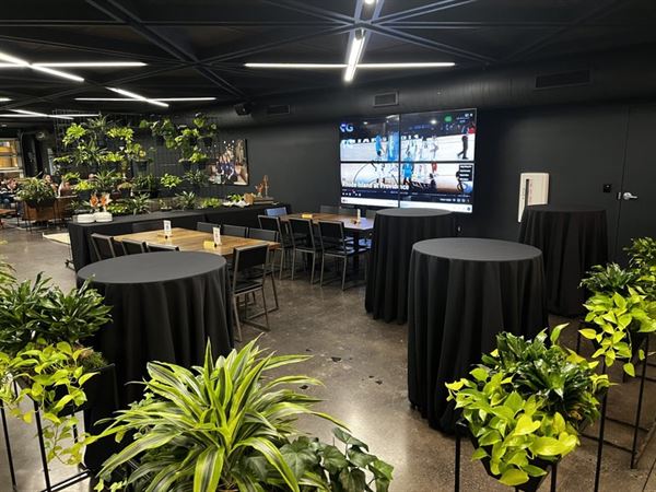 Pilot Project Brewing