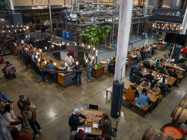 Pilot Project Brewing