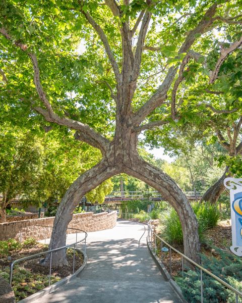 Gilroy Gardens Family Theme Park