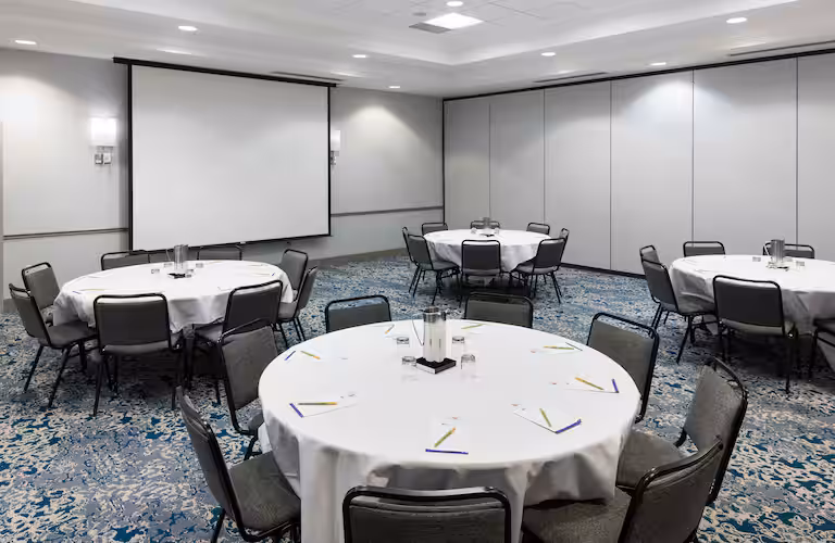 Hilton Garden Inn Detroit/Novi