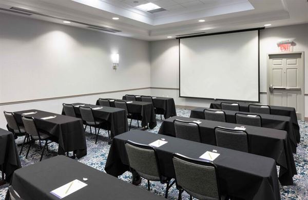 Hilton Garden Inn Detroit/Novi