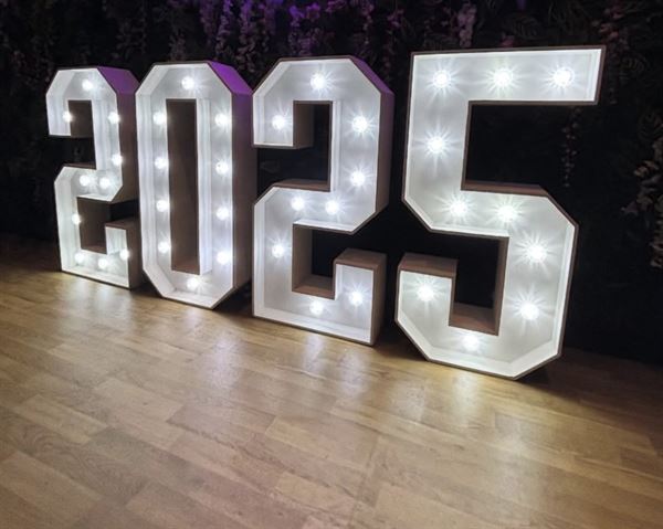 Numbers and Letter Lights LLC