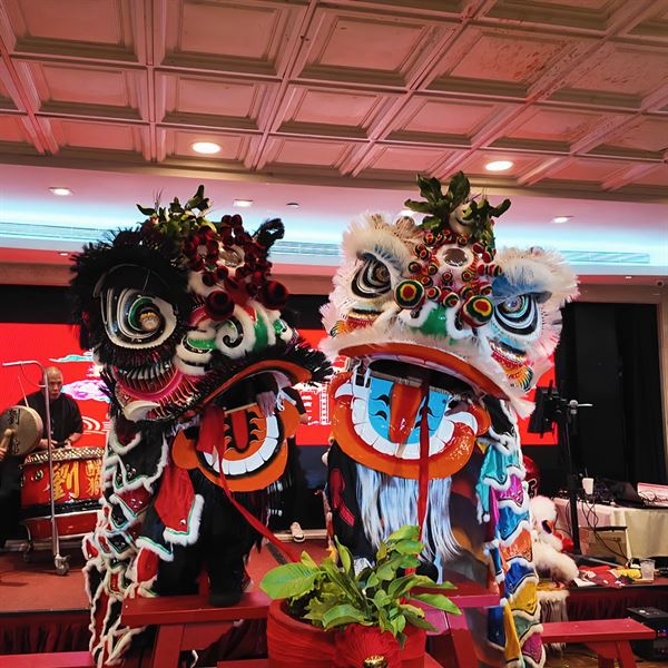 Lau martial club hung kuen lion dance association LLC