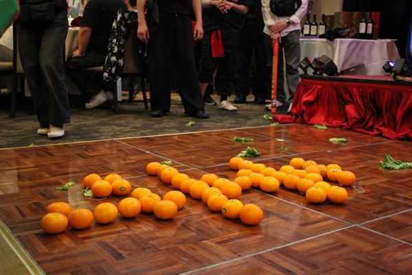 Lau martial club hung kuen lion dance association LLC