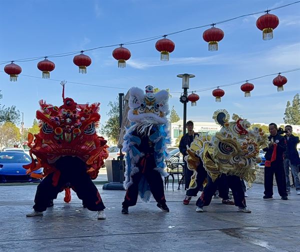 Lau martial club hung kuen lion dance association LLC