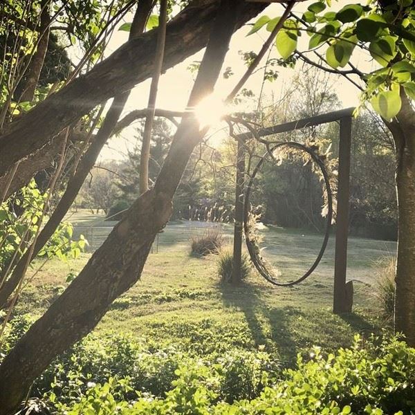 The Nest at Prairie Creek