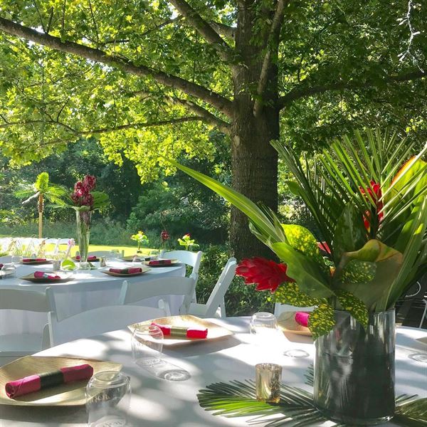 The Nest at Prairie Creek