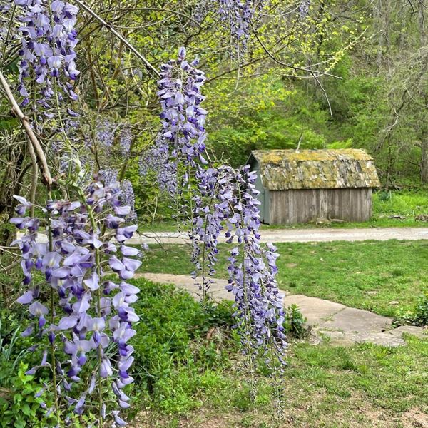 The Nest at Prairie Creek