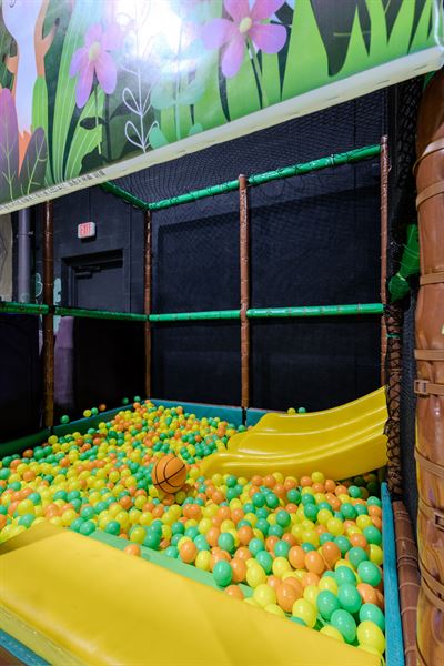 It’s My Birthday Buffalo