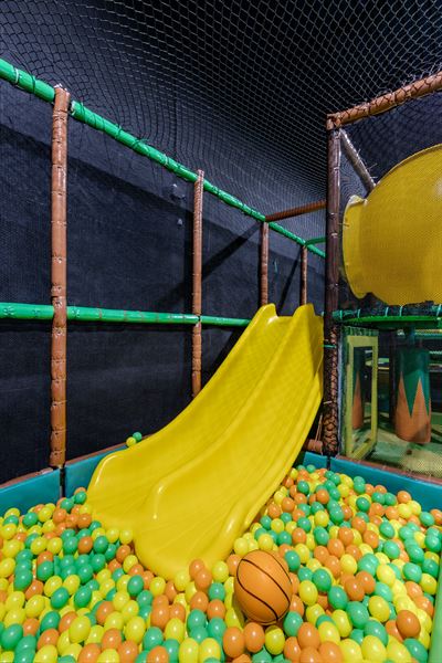 It’s My Birthday Buffalo