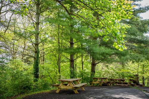 Sam Houston Schoolhouse State Historic Site