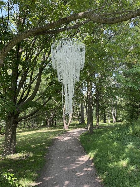 Signature Weddings by Lisa