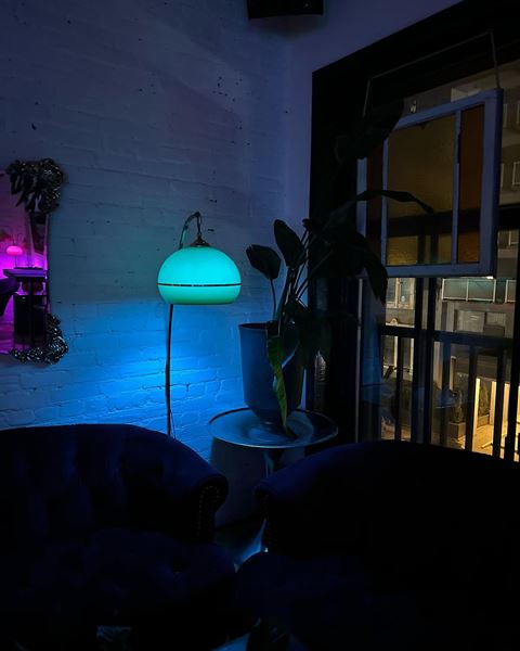 La Poubelle Magnifique