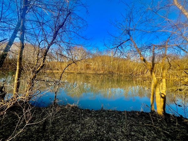 Gunpowder Creek Vineyards