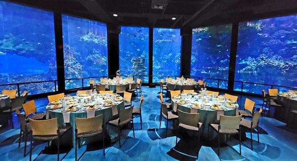 SeaWorld San Antonio