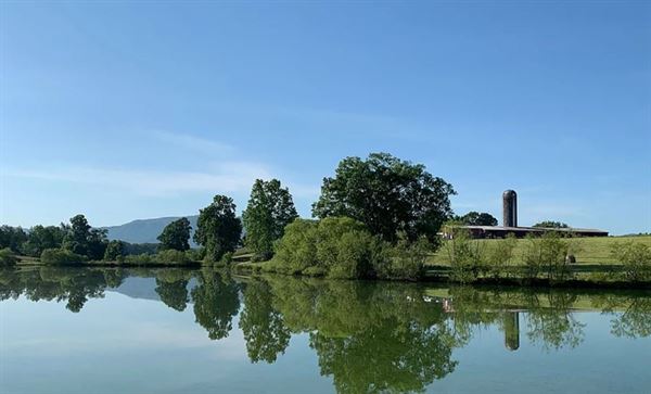 Willow Oaks Weddings & Events