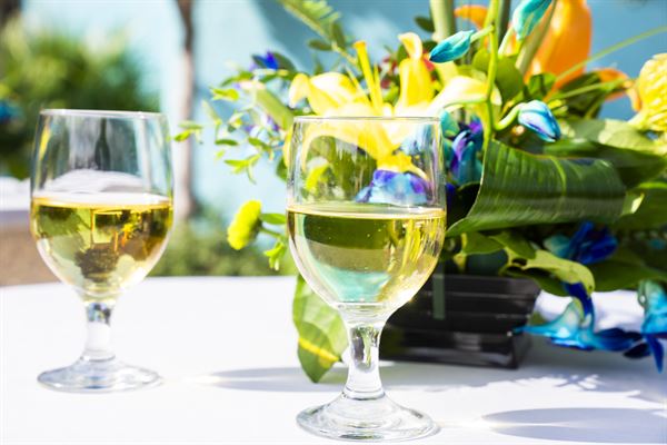 SeaWorld San Antonio