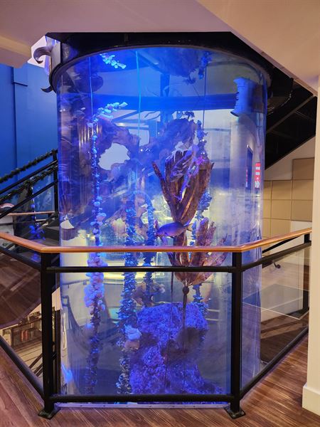 Gibsons Public Market