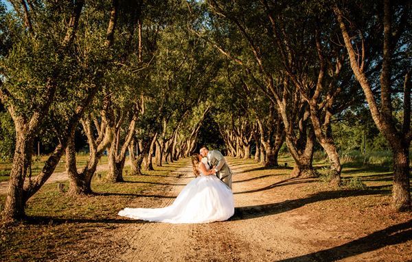 Central Florida Weddings