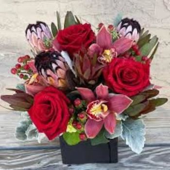 Kelly Christine Designs