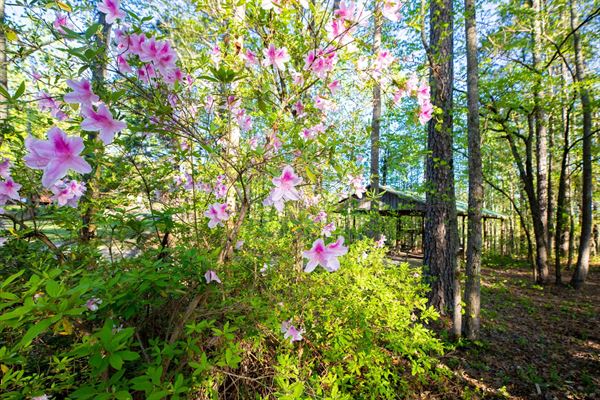 Cherokee Rose Sporting Clays & Helice