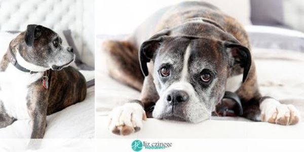 Liz Czinege Photography