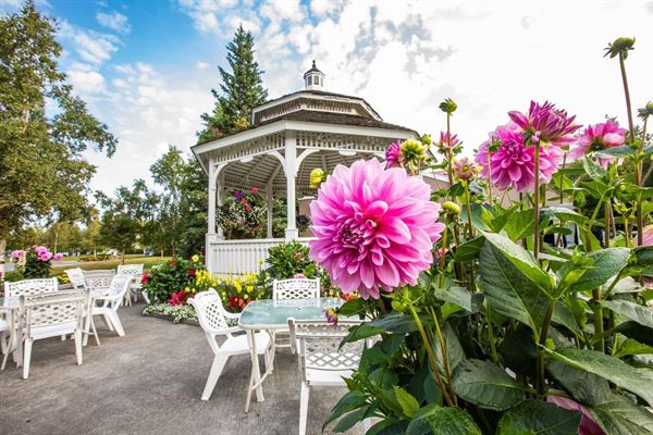 Wedgewood Resort & Conference Center