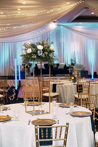 Delta Hotels by Marriott Minneapolis Northeast