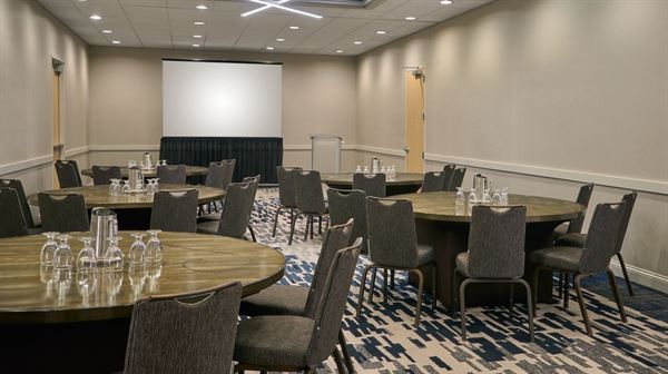 Delta Hotels by Marriott Minneapolis Northeast