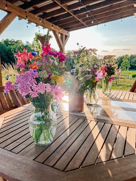 Two Bees & A Bud Flower Farm