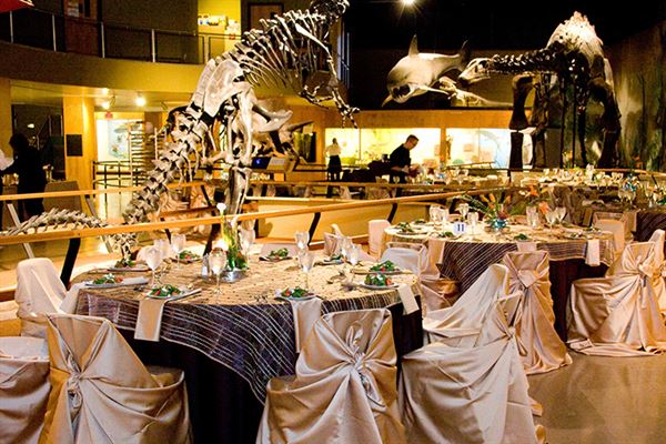 A Taste of Excellence