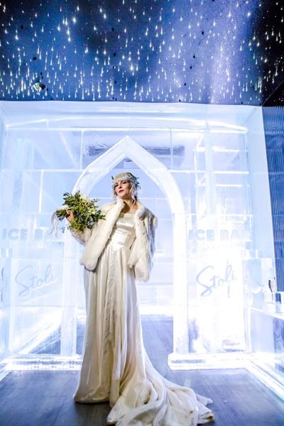 Fernie Alpine Resort