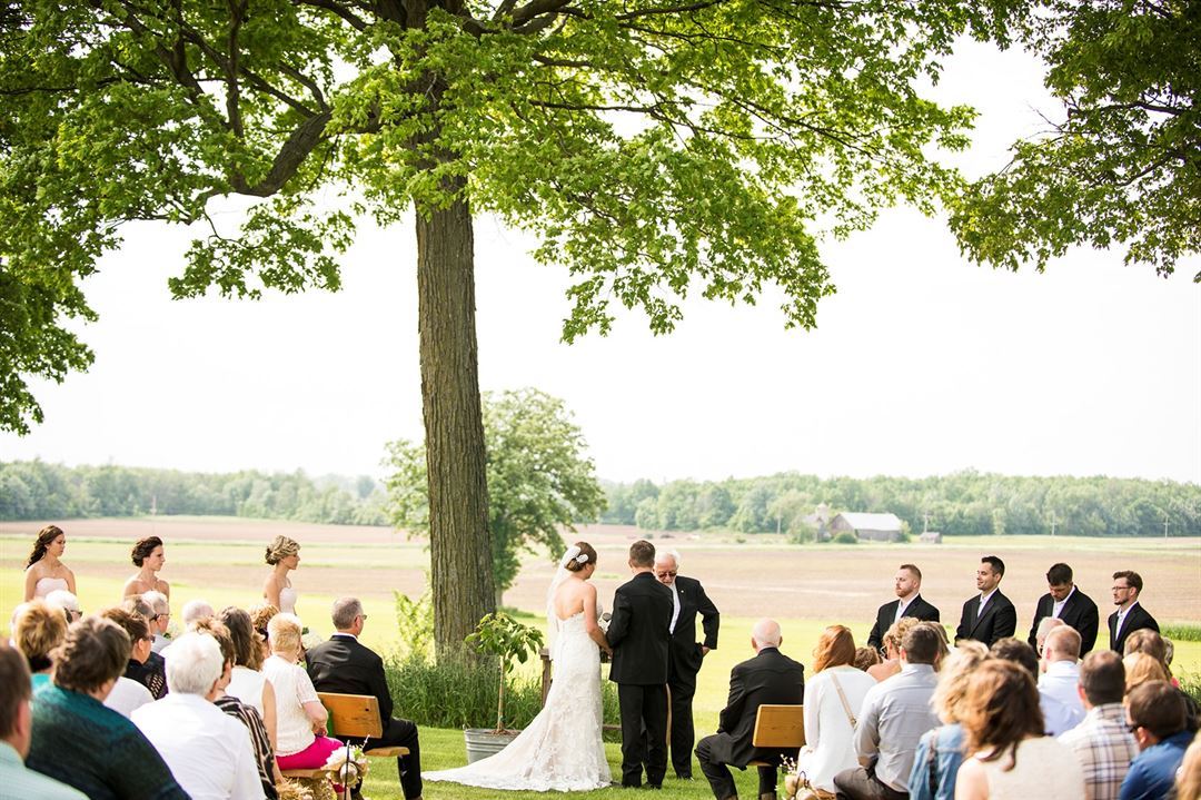 Mulberry Lane Farm, photo 6
