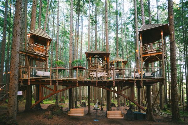 Emerald Forest & Theater