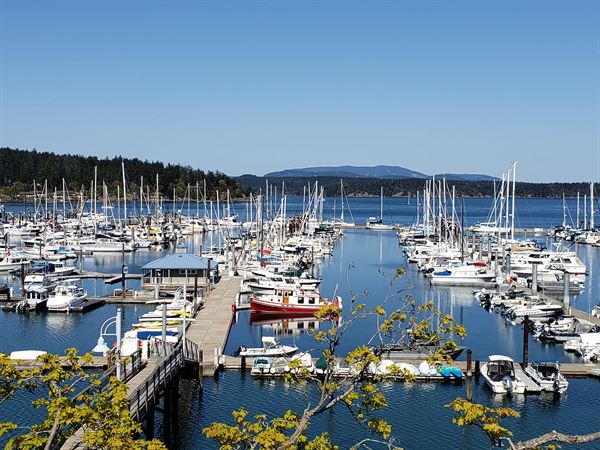 San Juan Island Yacht Club