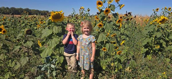 The MAiZE at Little Darby Creek
