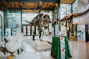 Valero Great Hall and Naylor Family Dinosaur Gallery